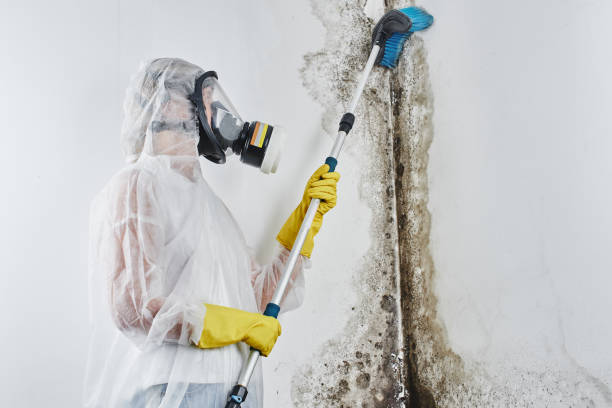 Best Mold Prevention Services  in Clinton, WI