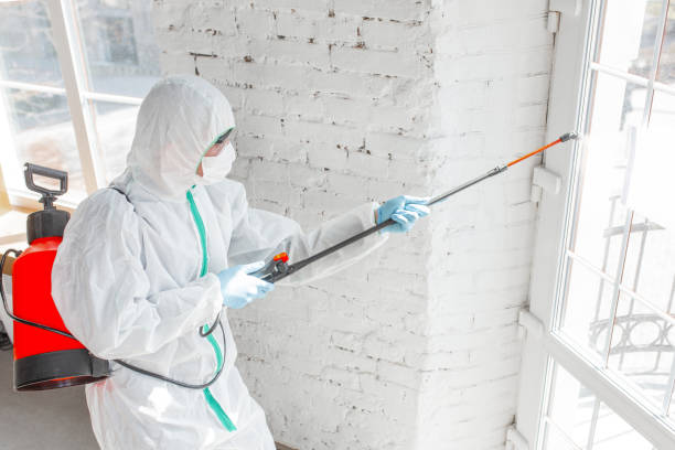 Best Mold Remediation for Rental Properties  in Clinton, WI