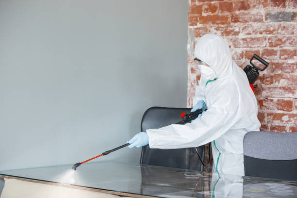 Best Residential Mold Inspection & Testing  in Clinton, WI